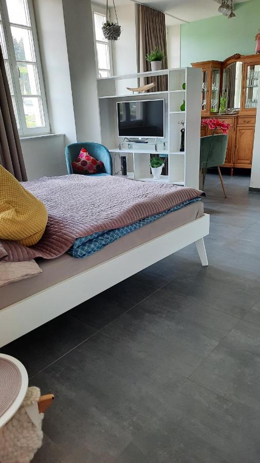 Apartment Am Zurlaubener Ufer Trewir Zewnętrze zdjęcie