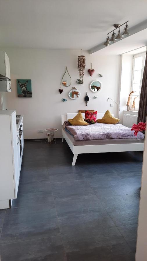 Apartment Am Zurlaubener Ufer Trewir Zewnętrze zdjęcie