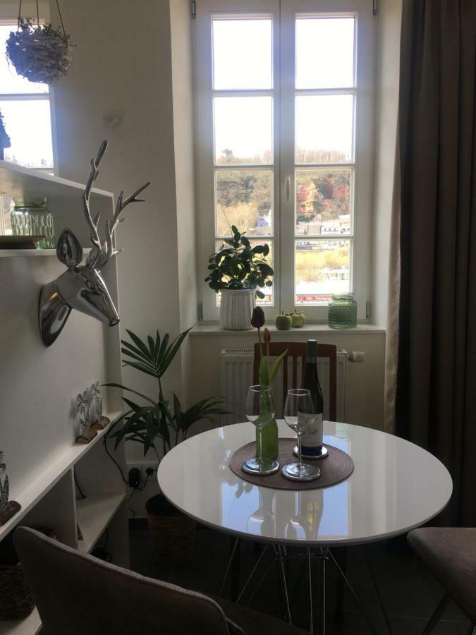 Apartment Am Zurlaubener Ufer Trewir Zewnętrze zdjęcie